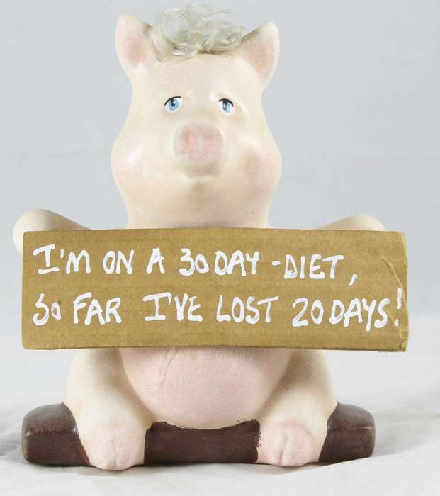 Pig holding funny sign