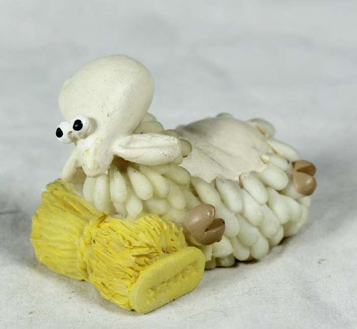 Miniature sheep laying down