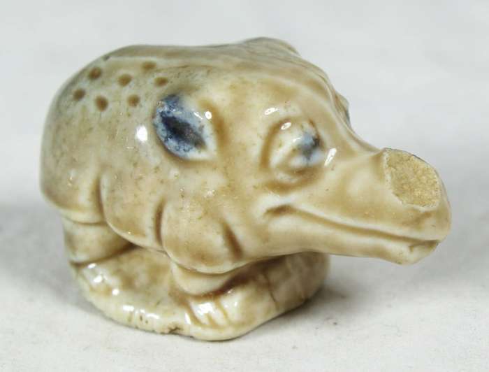 Wade - Asian rhino