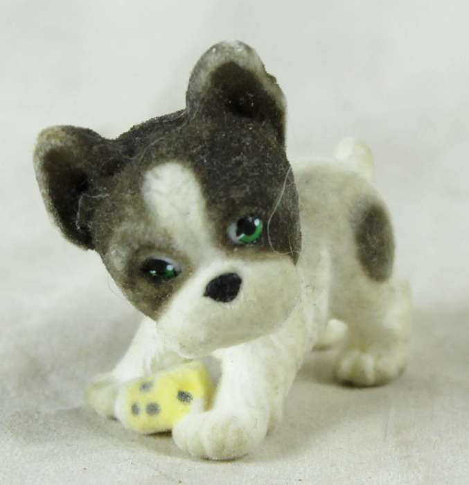Miniature suede puppy playing