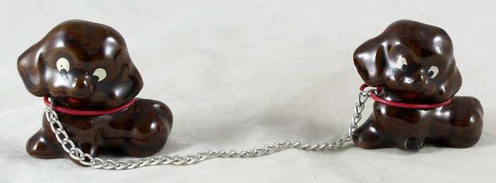 Pair of brown puppies with chain