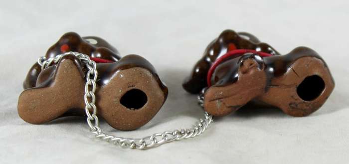 Pair of brown puppies with chain