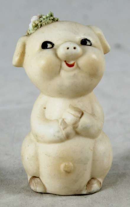 Small friendly piggy