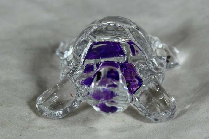Small glass - tortoise - purple