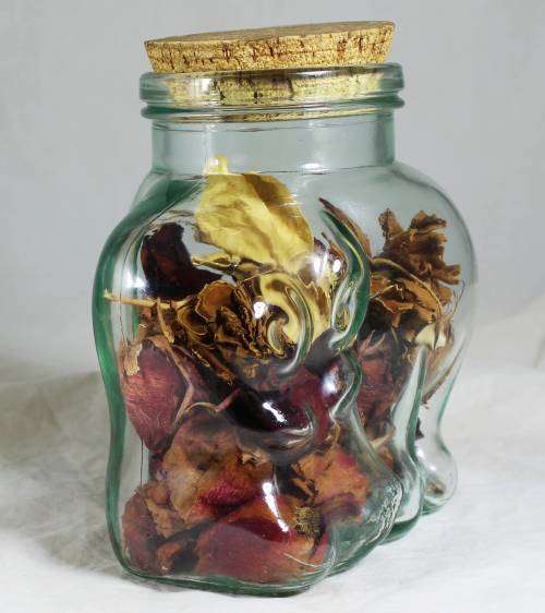 Hippo glass container