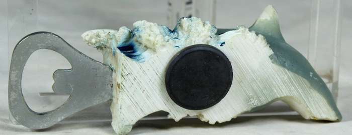 Bottle opener - molded shark with a magnet
