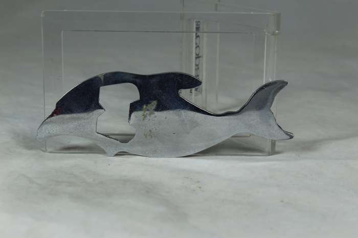 Bottle opener - Knysna Heads dolphin