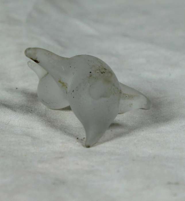 Miniature frosted penguin spotted