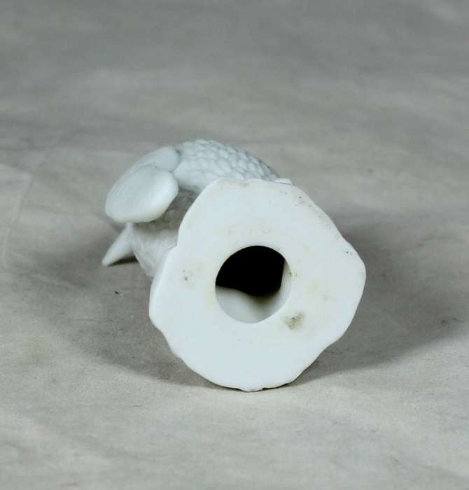 Miniature white penguin