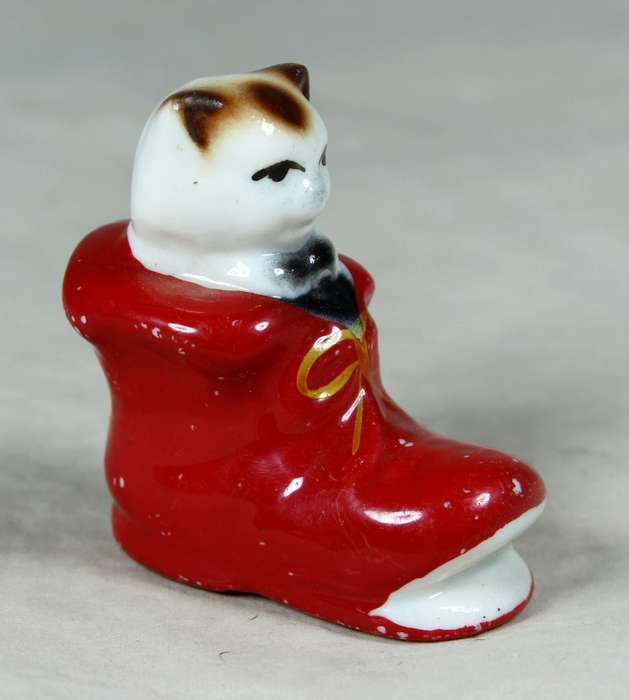 Miniature cat in a shoe