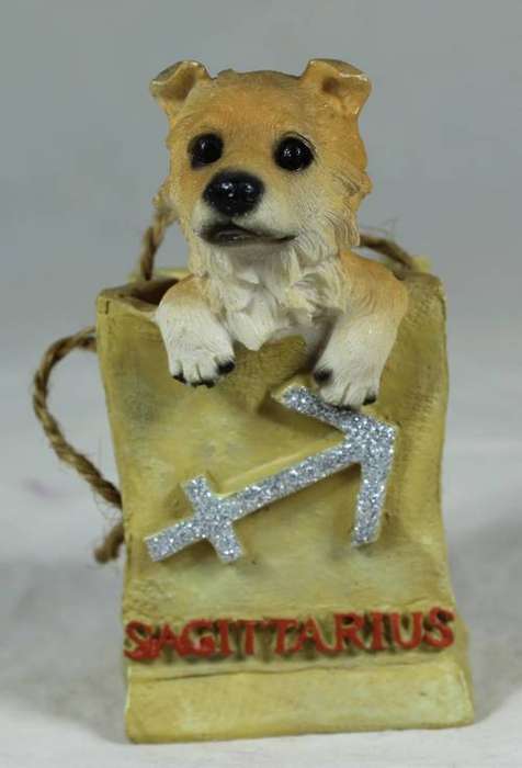 Sagittarius bag with a puppy in it