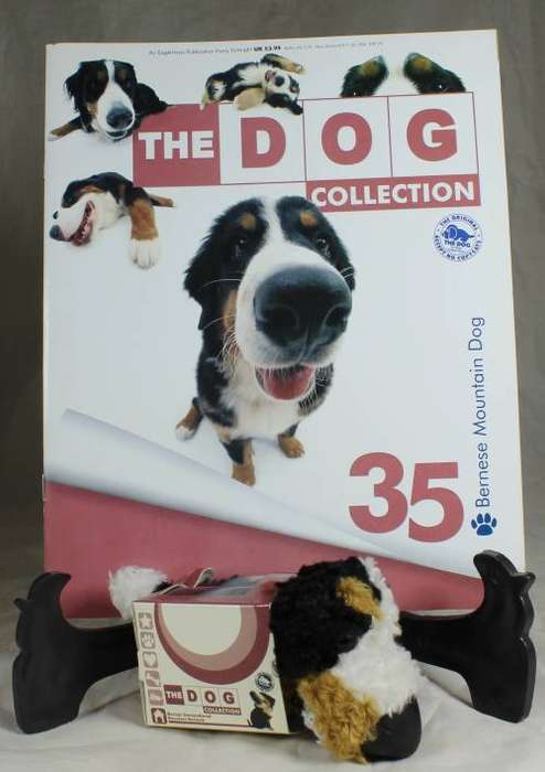 The dog artist collection with magazine - Bernese Mountain Dog #35