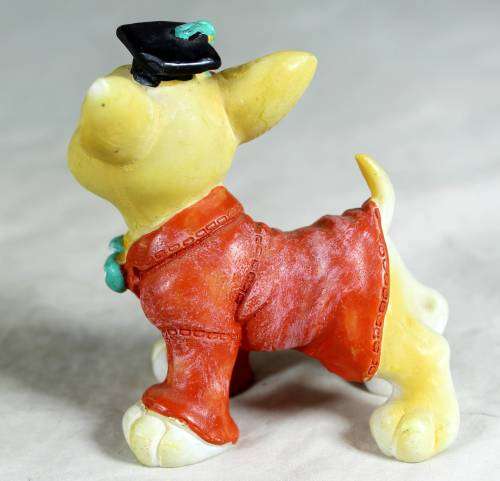 Graduating doggy