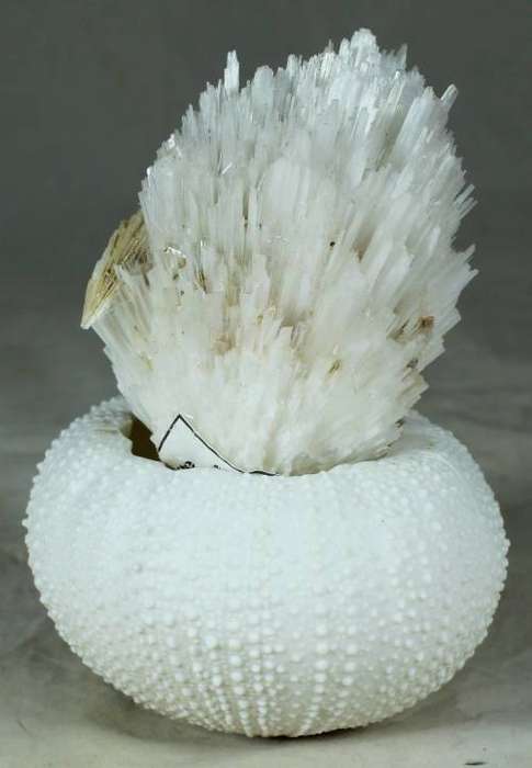 Piece of Scolecite - appophilite & stilbite with shell