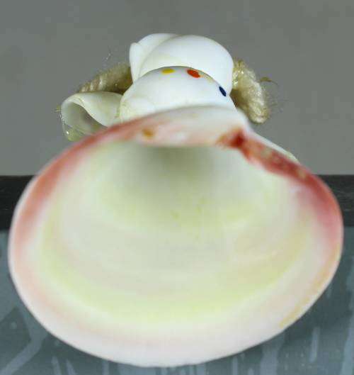 Clown figurine - polka dot suit standing on a shell