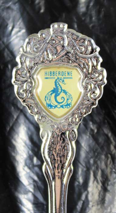 Souvenir spoon - Hibberdene