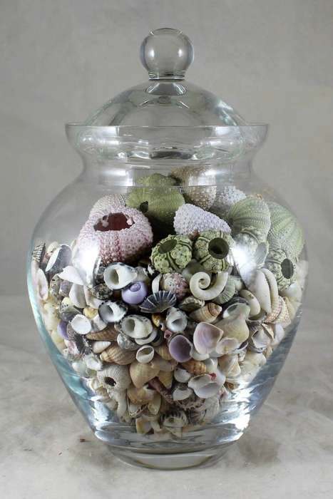 Lidded vase with shells