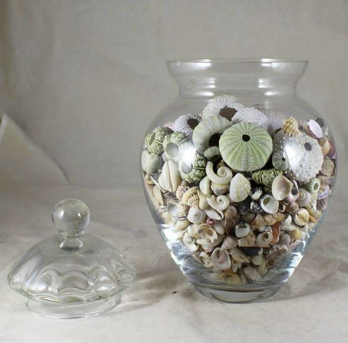Lidded vase with shells