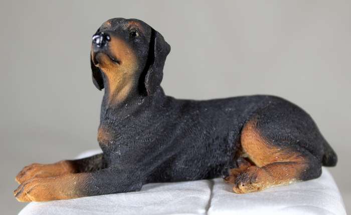 Doberman laying down