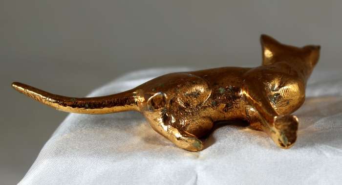 Copper over lead cat playing
