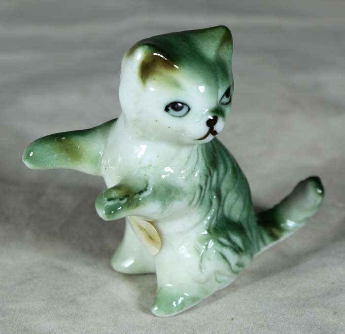 Cat playing