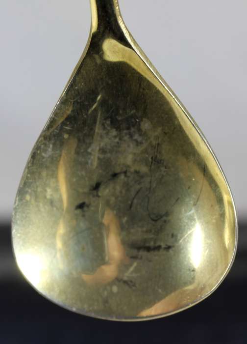 Gold plated stainless steel sugar spoon