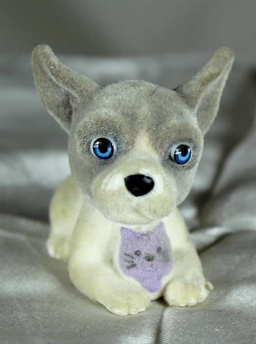 Puppy in my pocket families - puppy with large ears