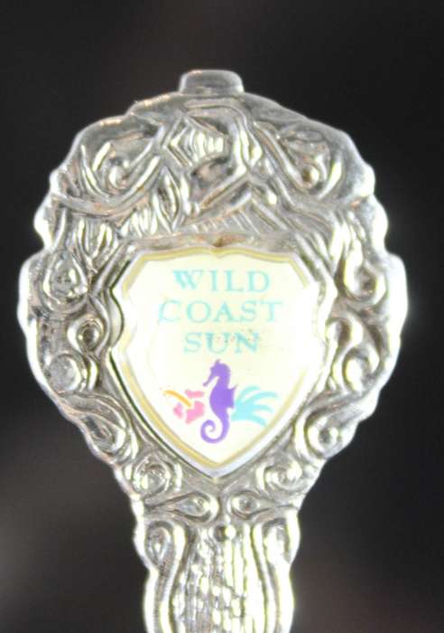 Souvenir tea spoon - Wild Coast Sun