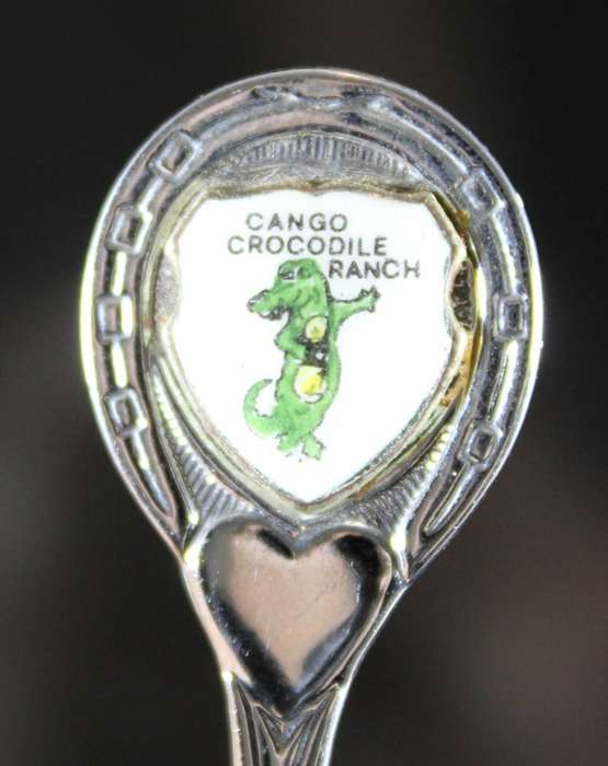 Souvenir tea spoon - Cango Crockodile Ranch