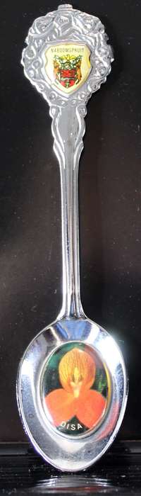 Souvenir teaspoon - Naboomspruit