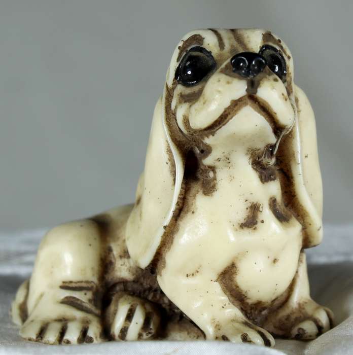 Small basset hound
