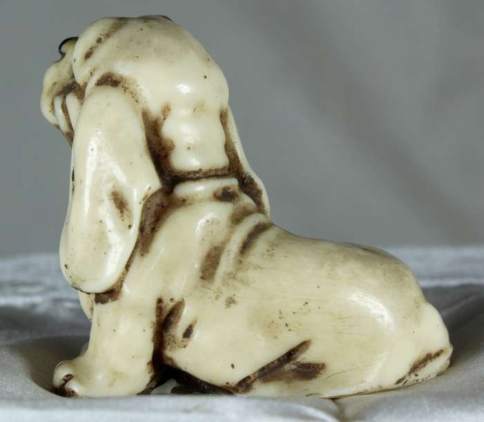 Small basset hound
