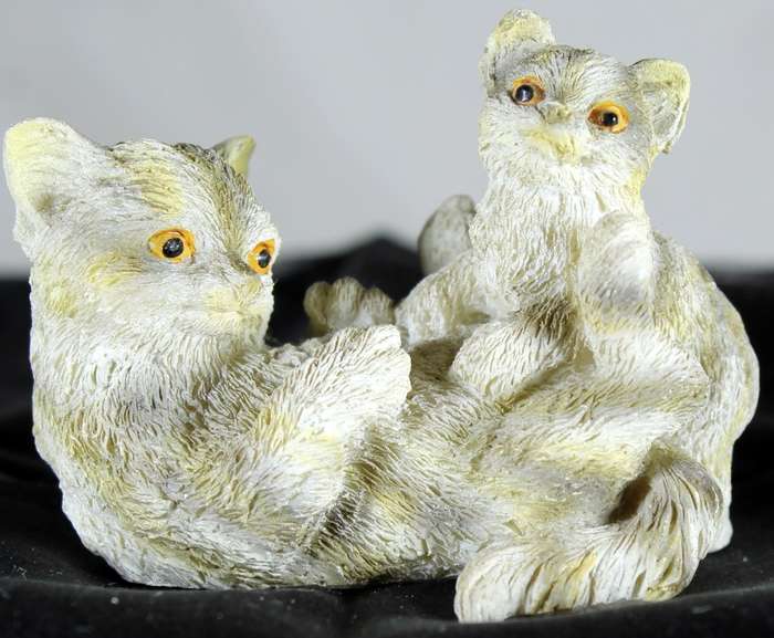 Small cats playing