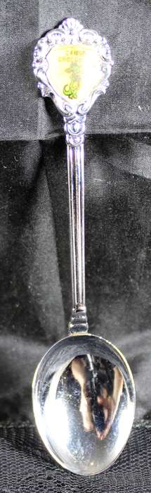 Souvenir teaspoon - Cango Crocodile Ranch