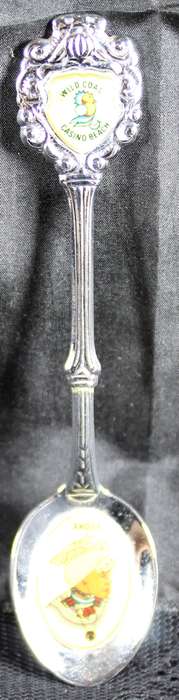 Souvenir teaspoon - Wild Coast Casino beach