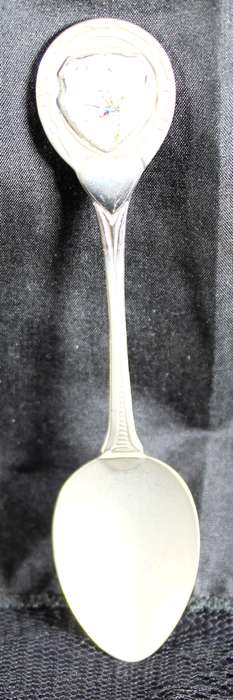 Souvenir teaspoon - Kirschtenbosch