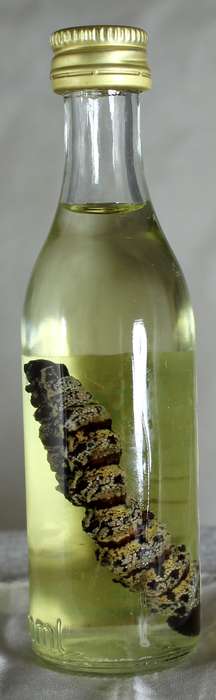 Mini Liquor Bottle - Wurm Sous (50ml)