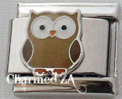 *July Special* Owl (Fits Nomination)