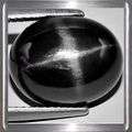 9.23ct Natural Black Star Diopside