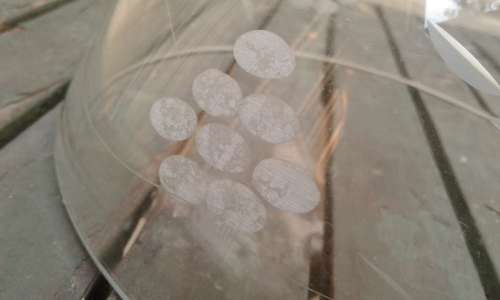 Vintage 1940s Handcut Grapes And Leaves Crystal Glass Bowl