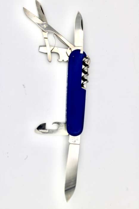 Victorinox Climber Blue