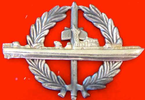 SA Navy Strike Craft Flotilla - All Silver - both pins