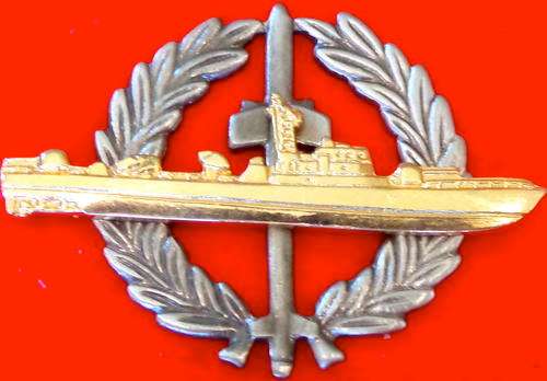 SA Navy Strike Craft Flotilla - Bi Metal - both pins