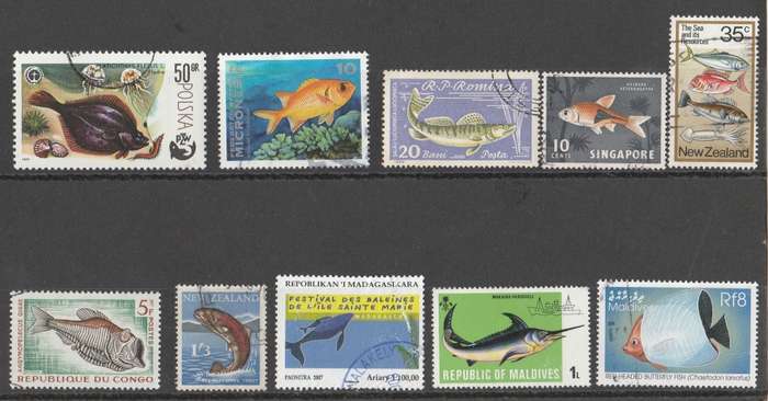 FISH   -THEMATICS