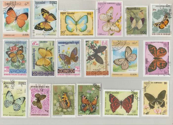THEMATICS     butterflies      ASSORTMENT