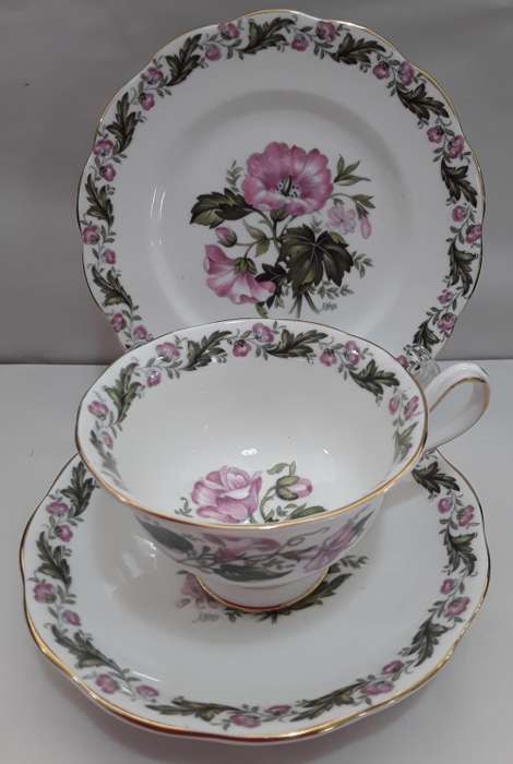 Royal Albert    ''Cotsworld''     Trio