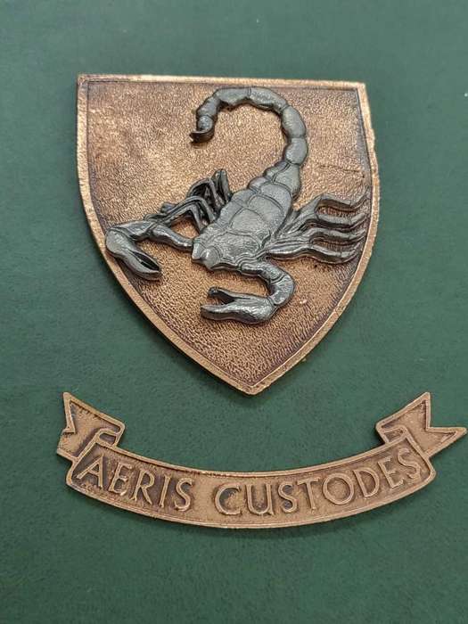 250 Air Defense Artillery Group plaque - 87mm x 75mm