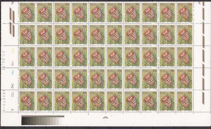RSA 1977 protea definitive issue 10c full sheet of 100. MNH.