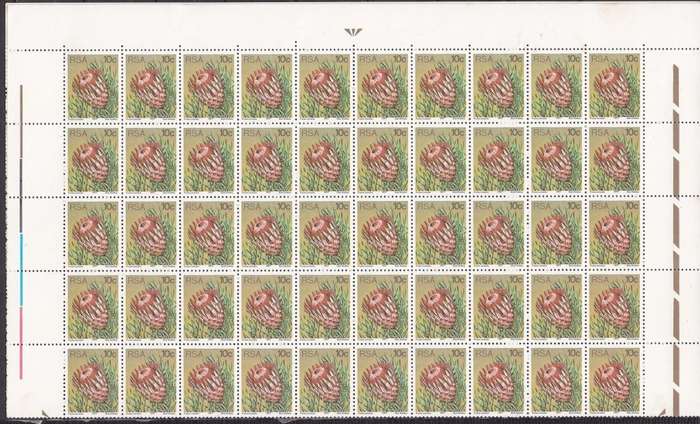 RSA 1977 protea definitive issue 10c full sheet of 100. MNH.