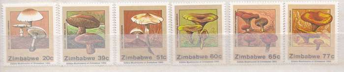 Thematic Zimbabwe 1992 edible mushrooms full set MNH